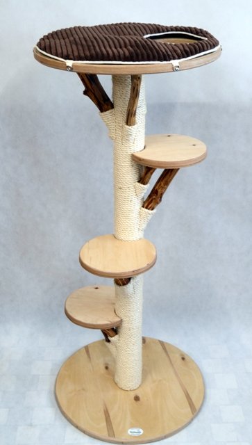 Denisa Kratzbaum Echtholz