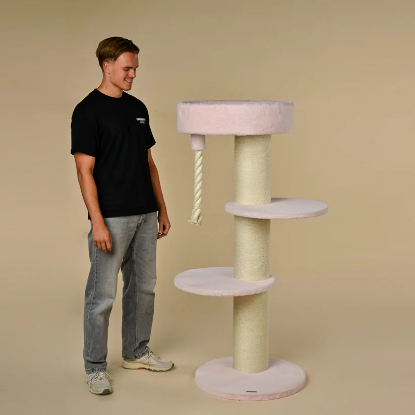 Farbe pink rosa kratzbaum coon sleeper