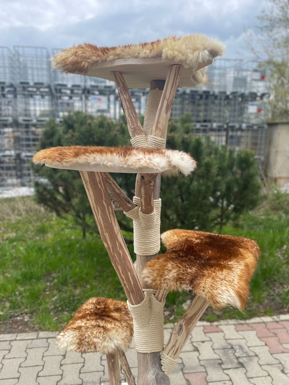 Katzenbaum in braun weiß Echtholz XXL