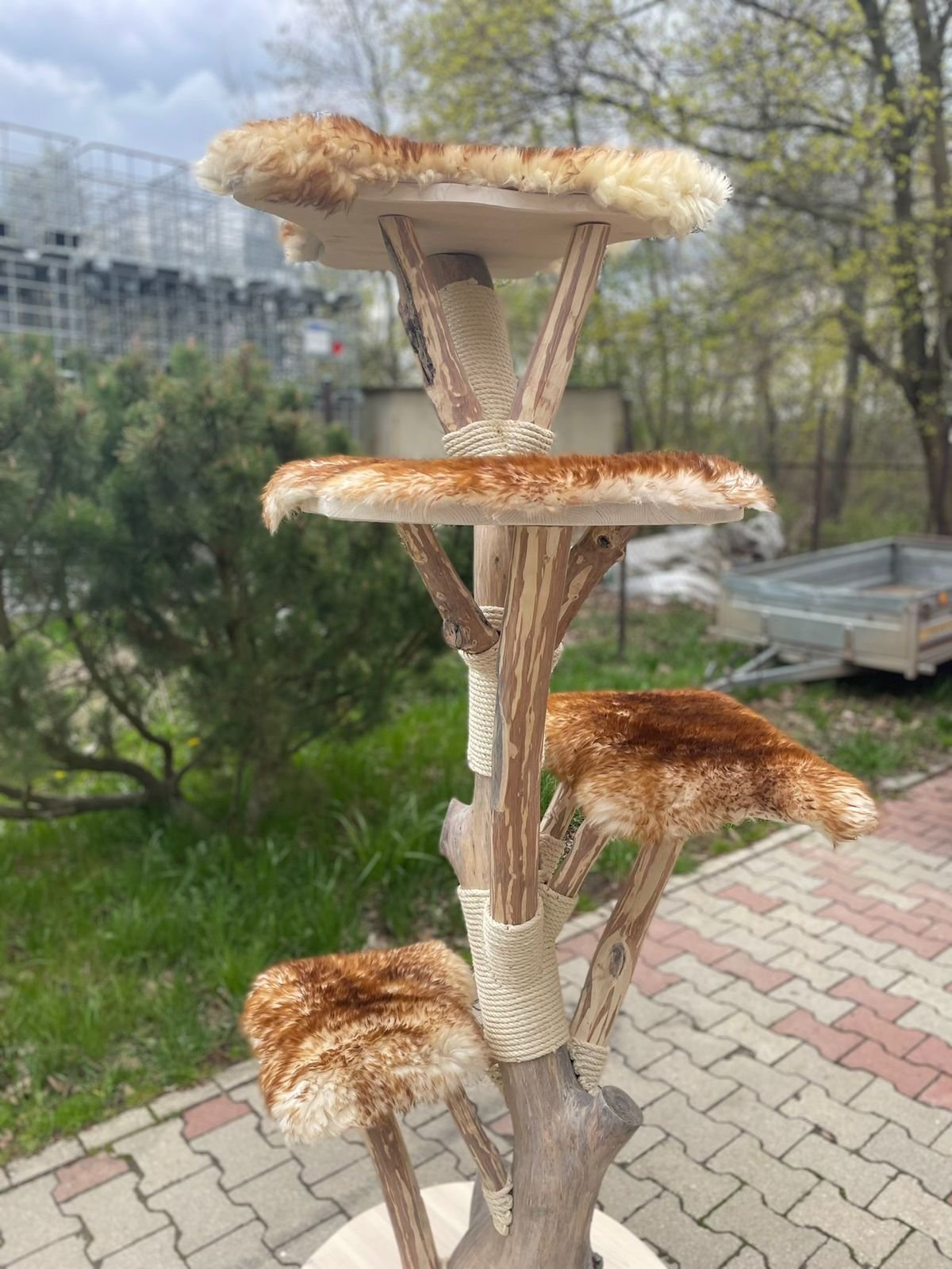 Katzenbaum in braun weiß - Schaffell