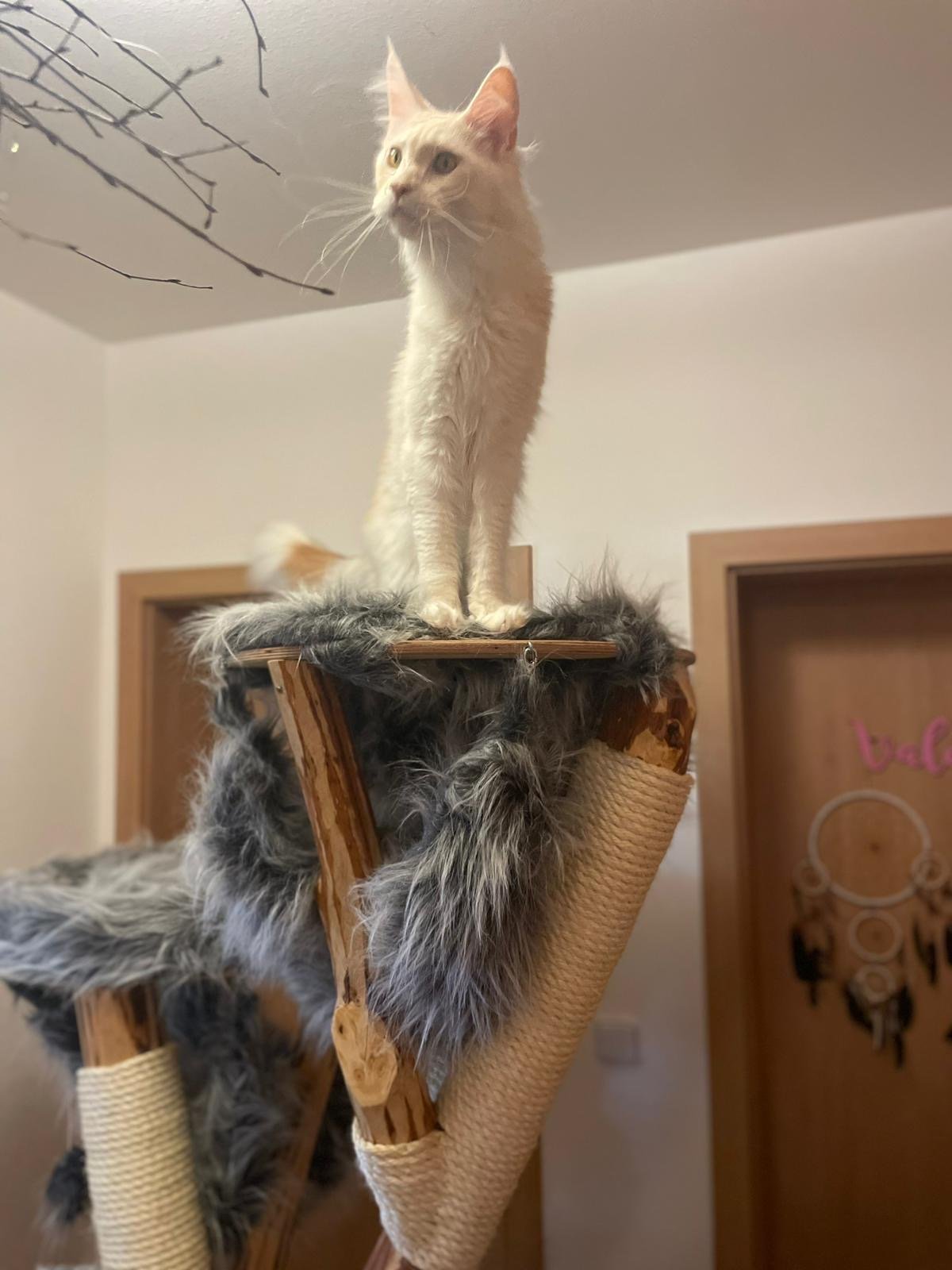 Katzenbaum mit grauem Fellbezug