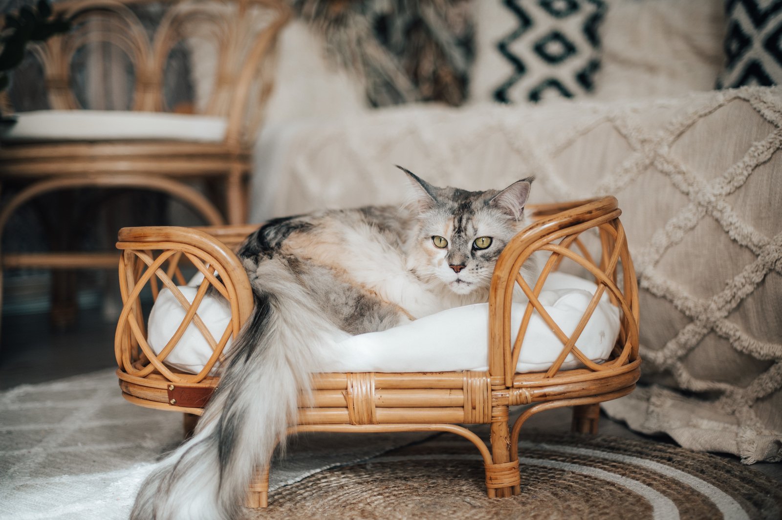 Katzenbett aus Rattan
