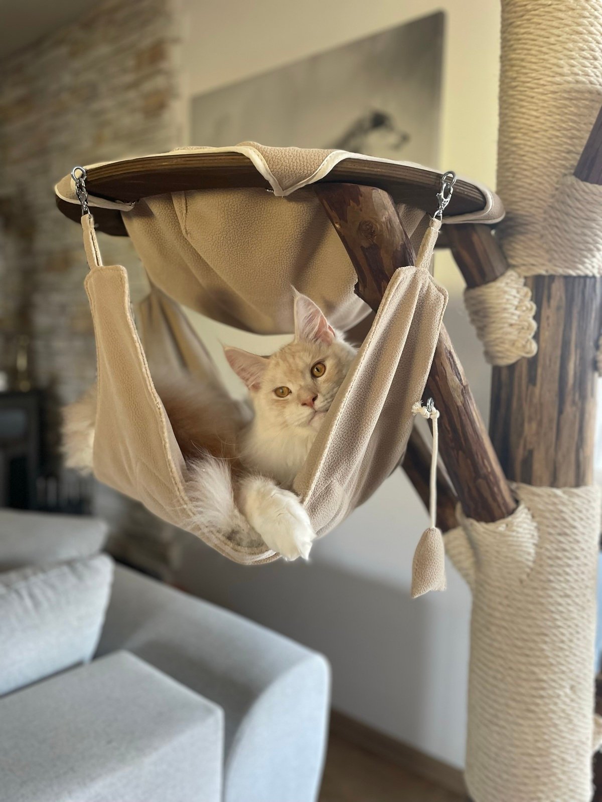 Kratzbaum XXL Echtholz mit Hängematten