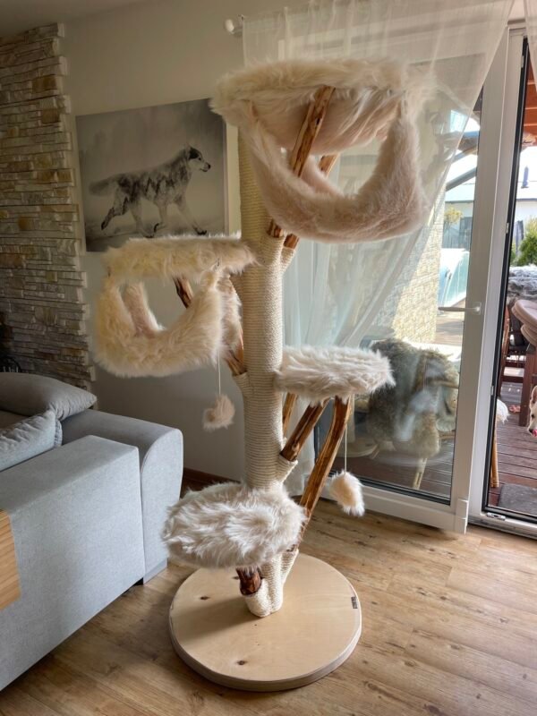 sima-katzenbaeume-beiges-fell