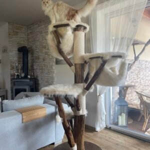 Kratzbaum dunkles Holz mit weißem Bezug