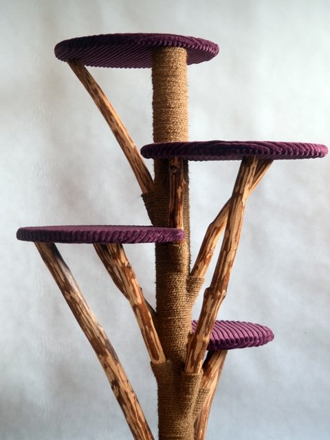 Lila Kratzbaum Naturholz Massivholz