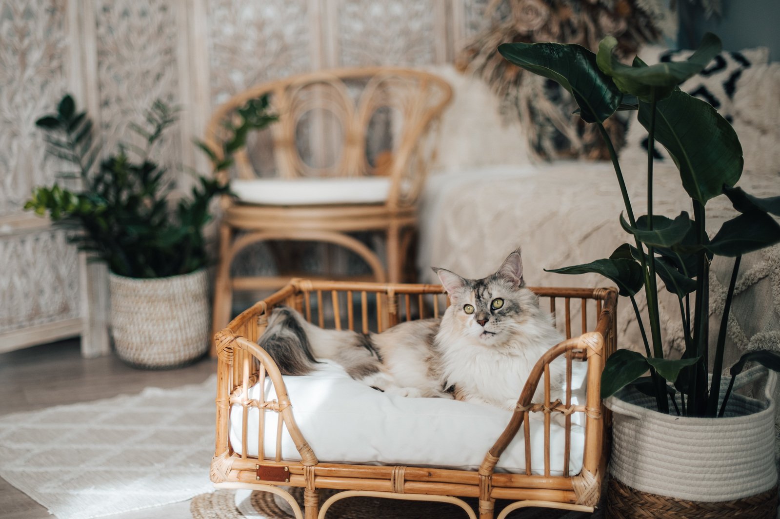 Luxus Katzenbett natürlich