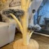 Massiver Katzenkratzbaum mit grauem Fellbezug