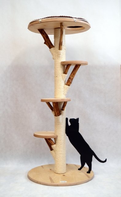 Massivholz Katzenbaum Farbe natur