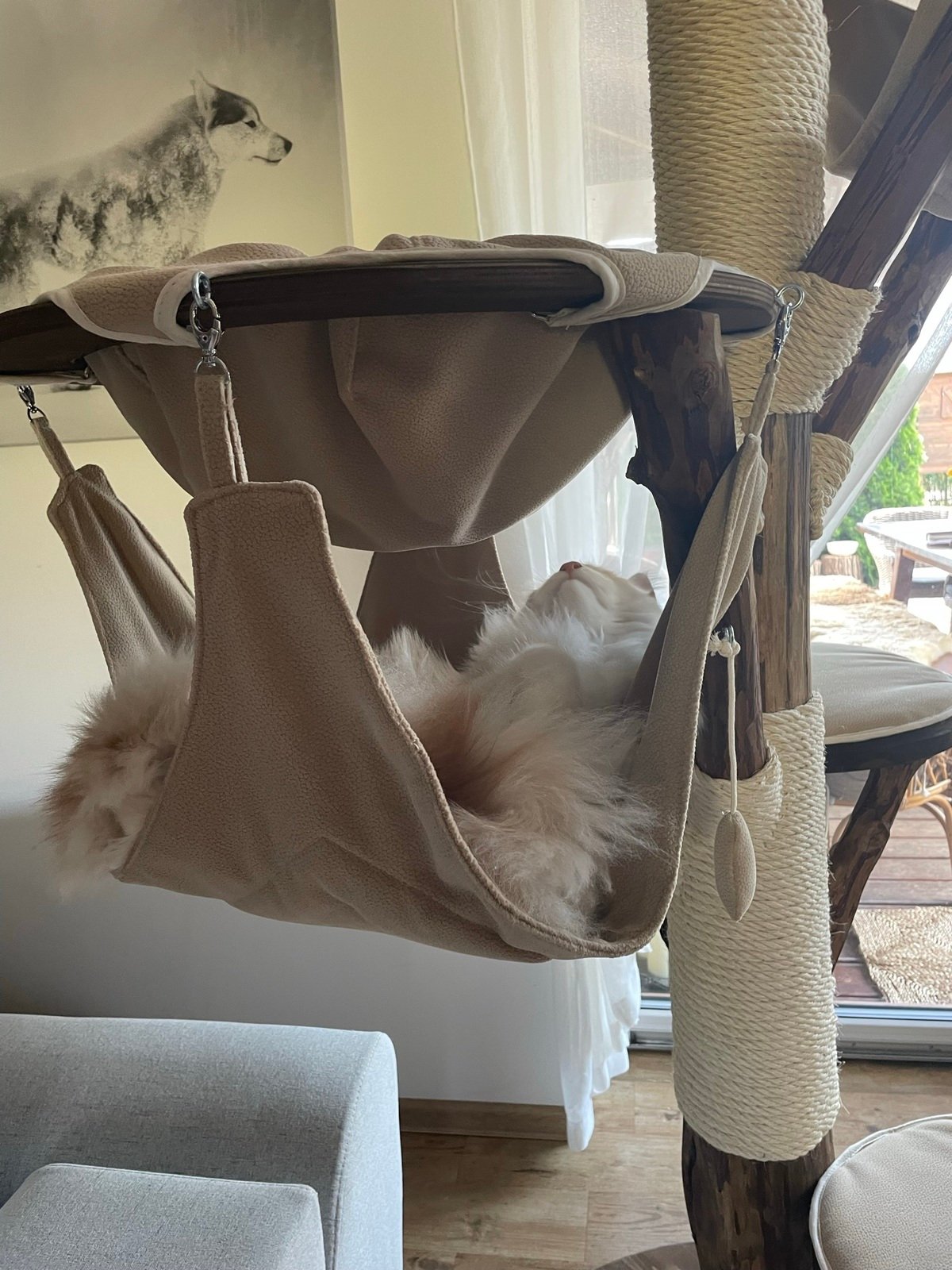 Massivholz Kratzbaum dunkles Holz