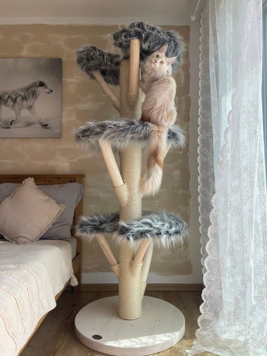 MiniBubi Katzenbaum helles Holz Massiv groß