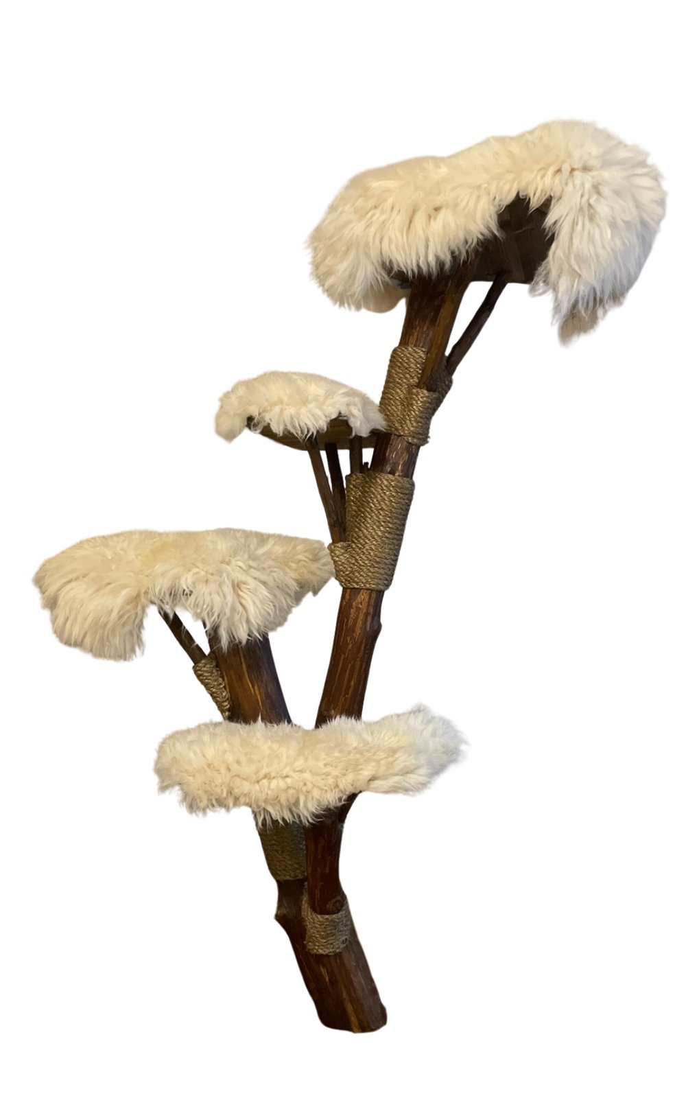 SILVESTER Kratzbaum dunkelbraunes Holz mit weichem weißen Liegeflächen