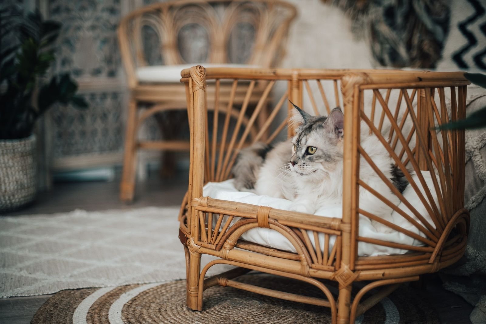 designer Katzenbett hellbraun