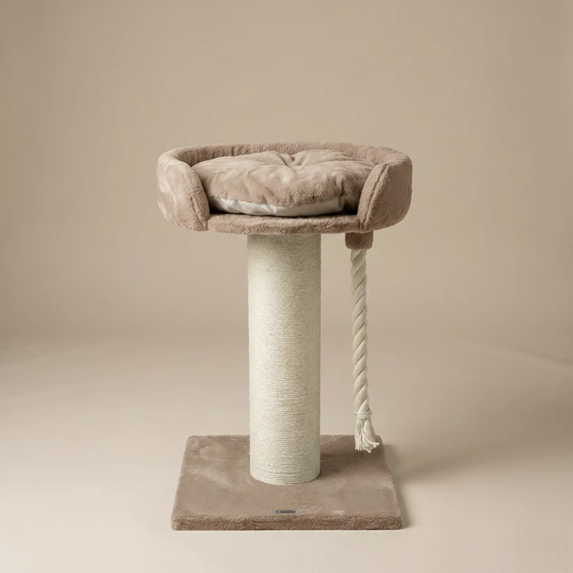 brauner kleiner Katzenbaum