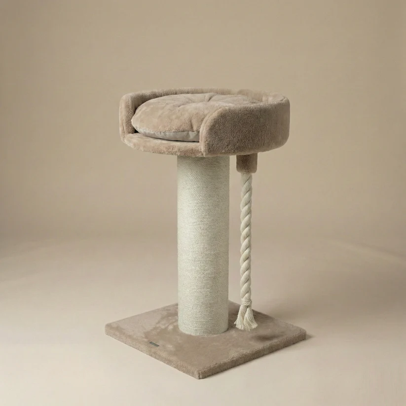 brauner kleiner Kratzbaum