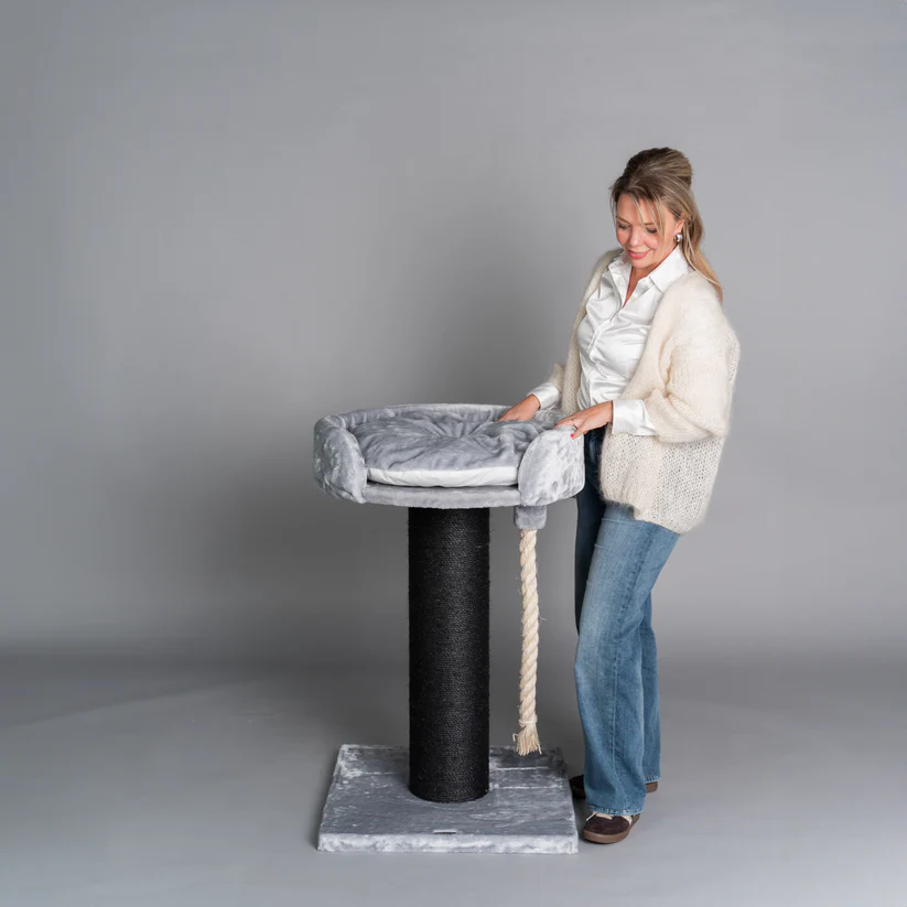 kleiner Katzenbaum grau