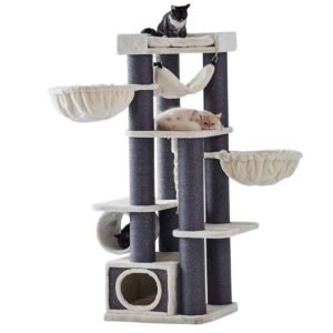 kratzbaum-chilo-von-nobby-cream-60-x-60-x-165-cm