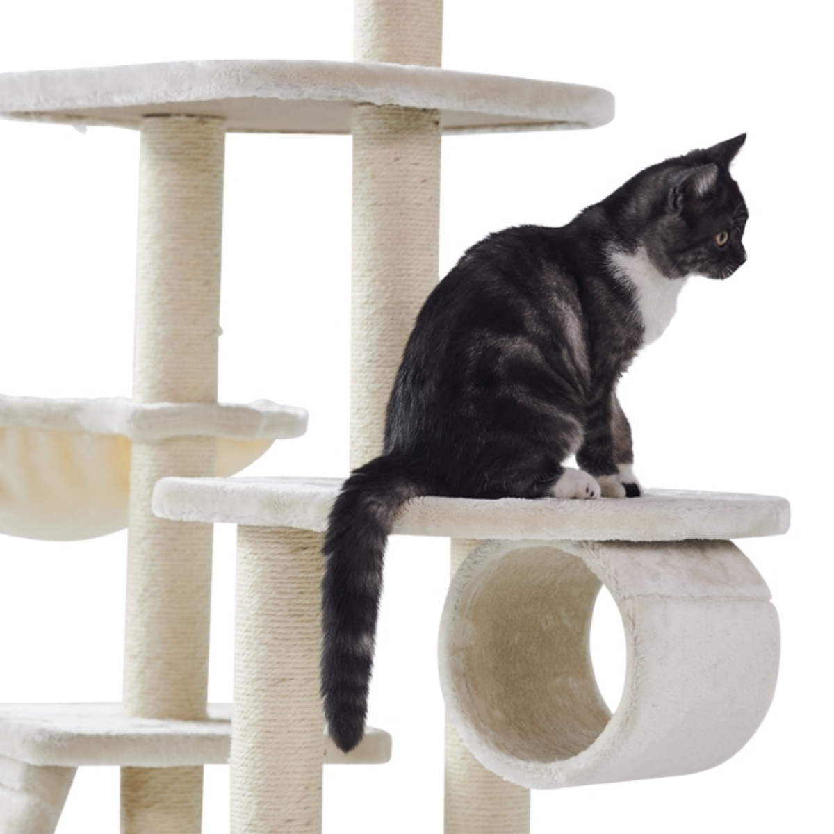 cream Katzenbaum für kleine Katzen