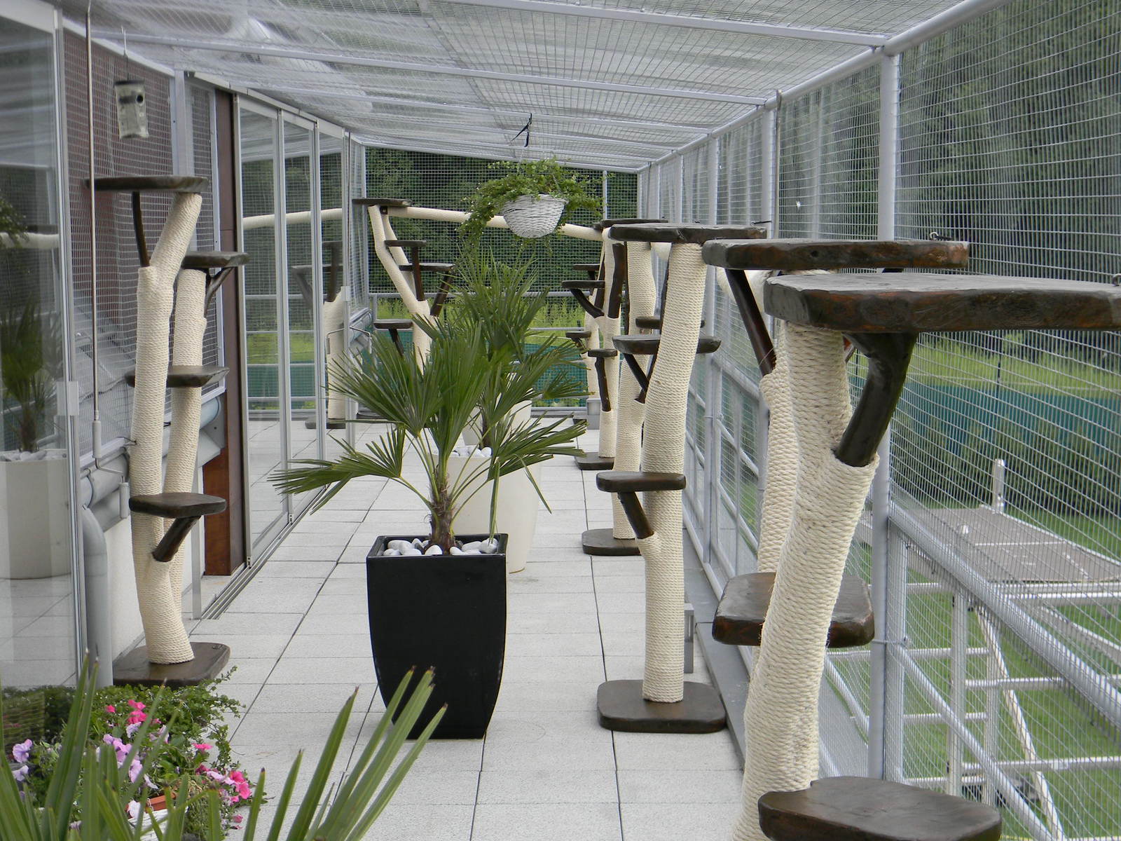 balkon-kratzbaum-fuer-terrasse-modern-aus-echtholz