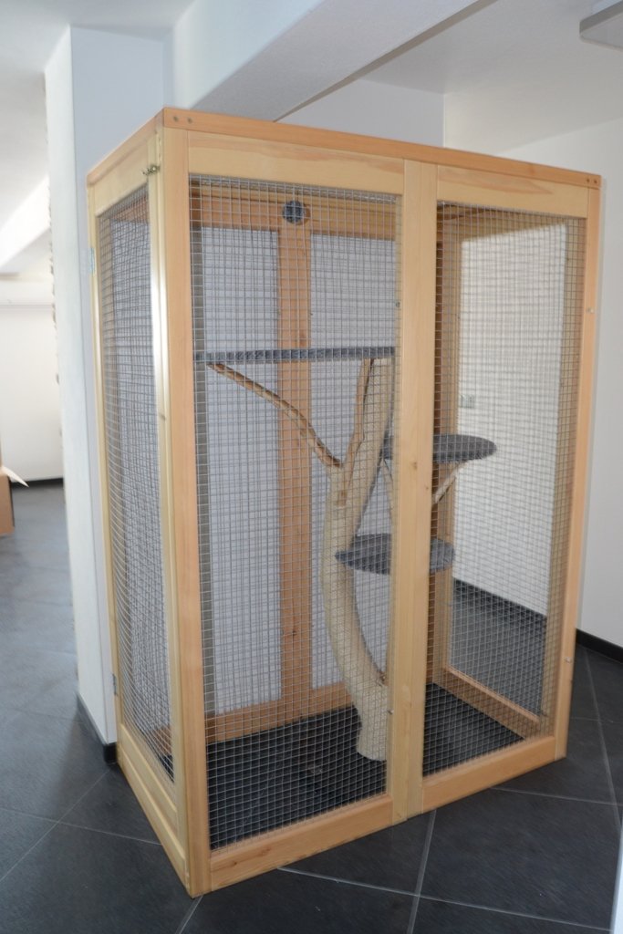 Indoor Katzengehege