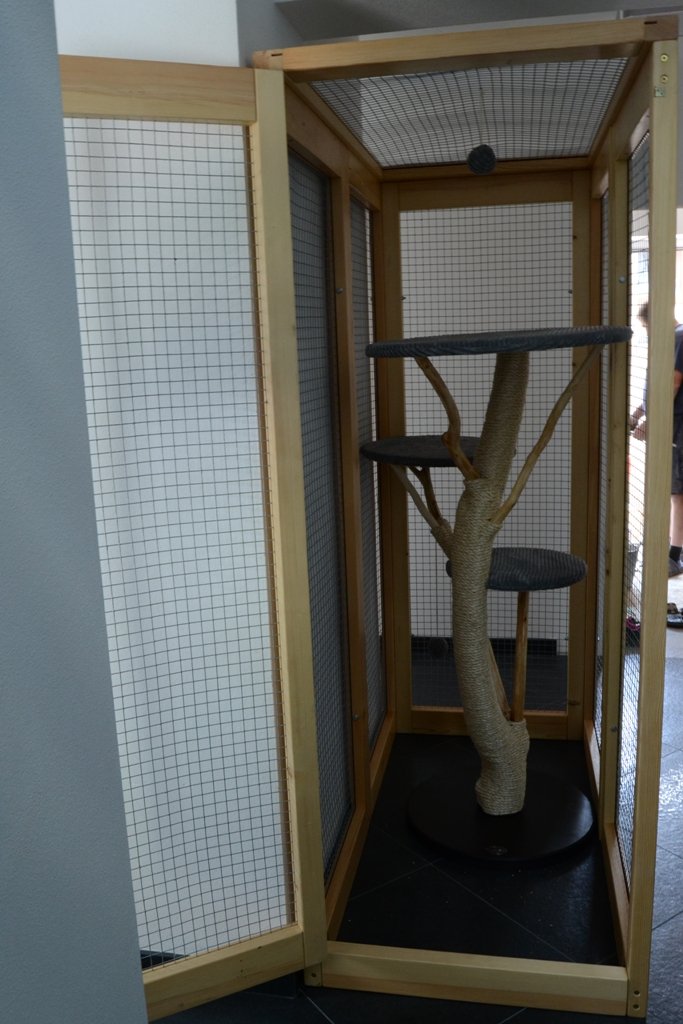 Katzengehege Indoor mit einer Tür
